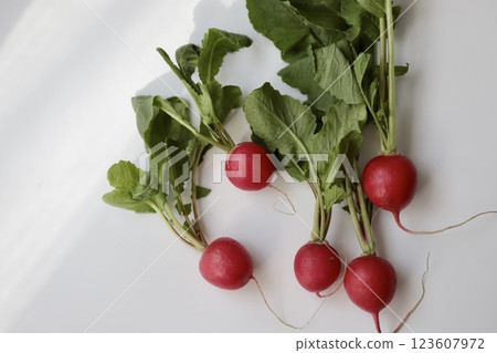 Organically grown radishes with leaves 123607972