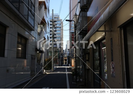 Urban Alleyway Scene Between Modern Buildings in Daylight, Japan Dec 10 2024 Urban Alleyway Scene Between Modern Buildings in Daylight, Japan Dec 10 2024 123608029