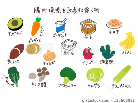 改善腸道環境的食物插圖集 改善腸道環境的食物插圖集 123608081
