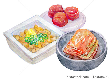 水彩插圖：一組發酵食品：泡菜和納豆 123608259