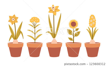 Spring flower in a pot set. Isolated cute spring flowers in flat style. Kids design, for fabric, wrapping, scrapbooking, wallpaper 123608312