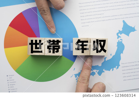 家庭年收入 123608314