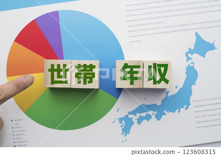 家庭年收入 123608315