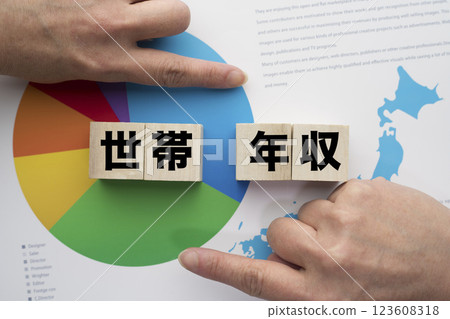 Annual household income 123608318