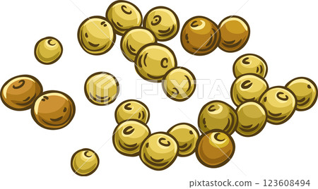 Mustard Seeds Colored Detailed Illustration. 123608494