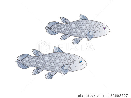 古魚腔棘魚 123608507