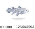 coelacanth 123608508