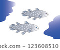Coelacanth, the living fossil 123608510