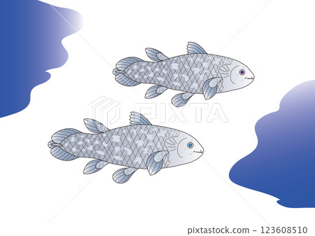 Coelacanth, the living fossil 123608510