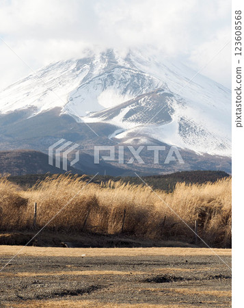 Mount Fuji in midwinter as seen from Susono City 123608568