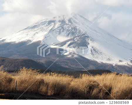 Mount Fuji in midwinter as seen from Susono City Mount Fuji in midwinter as seen from Susono City 123608569
