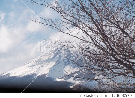 Mount Fuji in midwinter as seen from Susono City 123608570