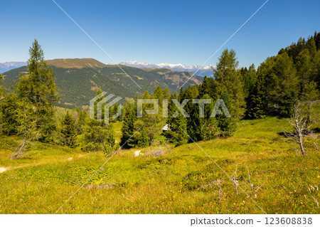 Amazing views of the picturesque high Dolomites mountains, lawns and forest Amazing views of the picturesque high Dolomites mountains, lawns and forest 123608838