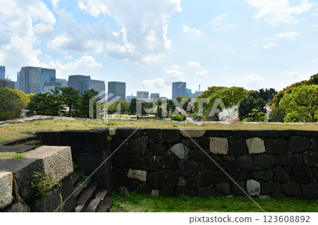 East Gardens of the Imperial Palace, Marunouchi Buildings 123608892