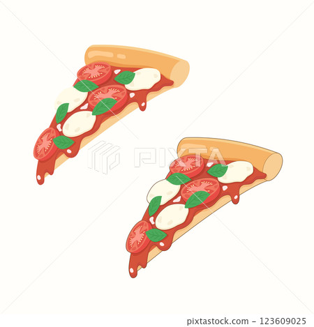 margherita pizza slice margherita pizza slice 123609025