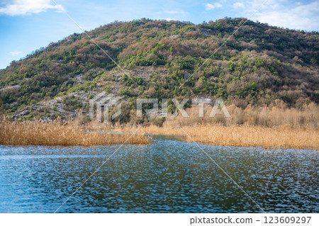 Trees and reeds on River Crnojevica, place near Lake Skadar in Montenegro surrounded by mountain peaks in winter time 123609297