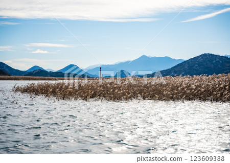 Trees and reeds on River Crnojevica, place near Lake Skadar in Montenegro surrounded by mountain peaks in winter time Trees and reeds on River Crnojevica, place near Lake Skadar in Montenegro surrounded by mountain peaks in winter time 123609388