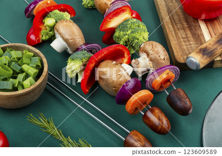 Organic Grilled Vegetable Kebab. 123609589