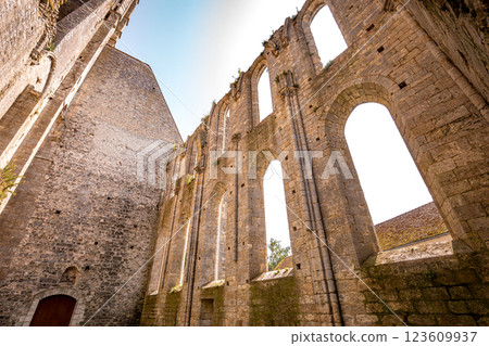 Basilica of Saint Mathurin, Larchant, seine-et-marne, France Basilica of Saint Mathurin, Larchant, seine-et-marne, France 123609937
