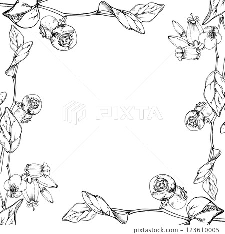 Blueberry blackberry with white line bell flowers, hand drawn in ink vector, ripe forest berry bunch on branches. Isolated botanical frame illustration. Restaurant, dessert cafe menu, farmers market Blueberry blackberry with white line bell flowers, hand drawn in ink vector, ripe forest berry bunch on branches. Isolated botanical frame illustration. Restaurant, dessert cafe menu, farmers market 123610005