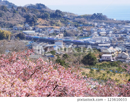 Shizuoka Prefecture, Yui Yachiyo Sakura and Disney Shinkansen, February 123610033