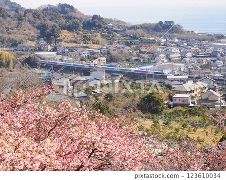 Shizuoka Prefecture, Yui Yachiyo Sakura and Disney Shinkansen, February 123610034