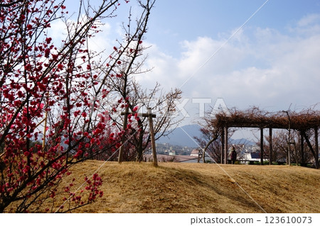 Munakata countryside as seen from Chinkokuji Temple Munakata countryside as seen from Chinkokuji Temple 123610073