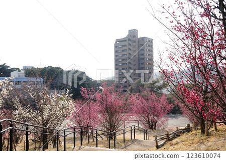 Munakata countryside as seen from Chinkokuji Temple Munakata countryside as seen from Chinkokuji Temple 123610074