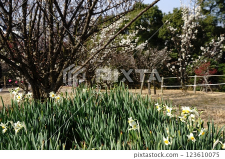 Munakata countryside as seen from Chinkokuji Temple Munakata countryside as seen from Chinkokuji Temple 123610075