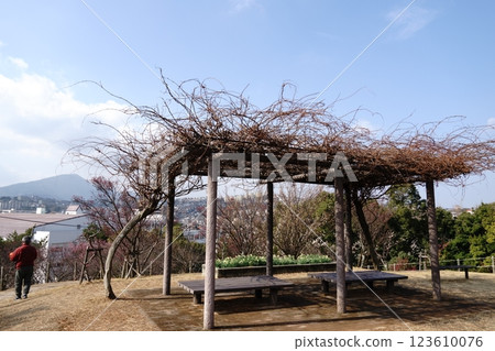 Munakata countryside as seen from Chinkokuji Temple Munakata countryside as seen from Chinkokuji Temple 123610076