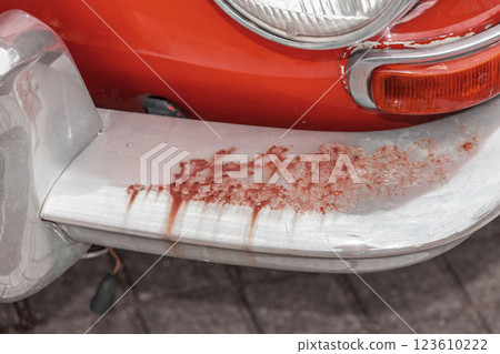 Car body deterioration and rust, dents 123610222