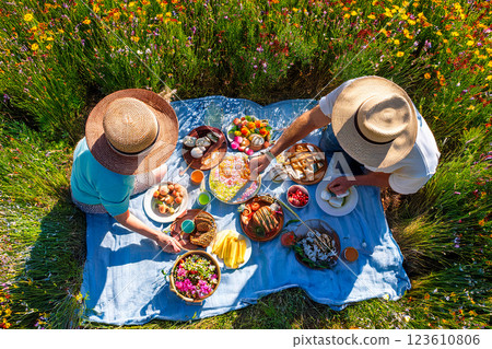 A couple having a pic nic in spring 123610806