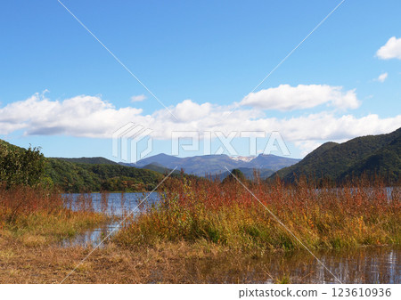 Autumn at Lake Akimoto in Urabandai. The autumn leaves on the lakeside and Mt. Adatara create a striking and beautiful combination against the blue sky. 123610936