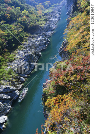 大步危溪谷的紅葉美景 123610947