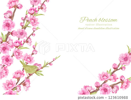 用水彩畫的桃花枝和鶯的向量框架 123610988