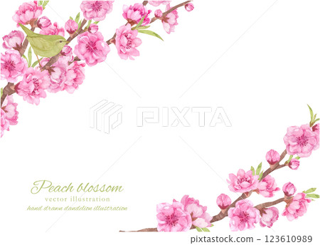 Vector frame of peach blossom branches and warblers painted in watercolor Vector frame of peach blossom branches and warblers painted in watercolor 123610989