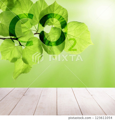 Sustainability and environmental protection concept. Carbon dioxide absorption, CO2 inscription Sustainability and environmental protection concept. Carbon dioxide absorption, CO2 inscription 123611054