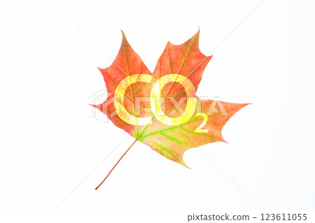 Red leaf with CO2 on white. The issue of carbon dioxide emissions, global warming Red leaf with CO2 on white. The issue of carbon dioxide emissions, global warming 123611055