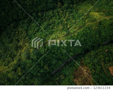 Aerial view of artist trail in Ubud, Bali Aerial view of artist trail in Ubud, Bali 123611154