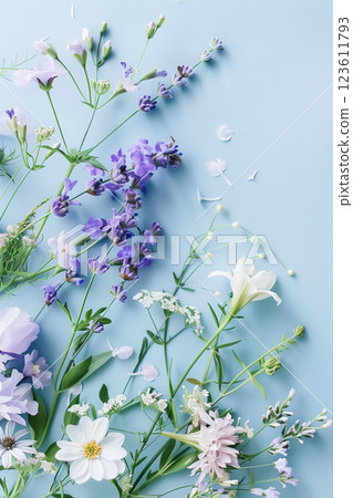 Vibrant spring flower arrangement on light blue background with copy space Vibrant spring flower arrangement on light blue background with copy space 123611793