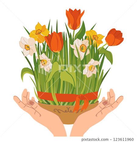 Green grass symbolizes the spring holiday of Novruz. It symbolizes the awakening of nature with spring flowers of tulips and daffodils. A plate with wheat sprouts in hands. Navruz in Azerbaijan, Iran Green grass symbolizes the spring holiday of Novruz. It symbolizes the awakening of nature with spring flowers of tulips and daffodils. A plate with wheat sprouts in hands. Navruz in Azerbaijan, Iran 123611960