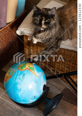 Fluffy Cat Paws on Globe: Exploring the World from Home Fluffy Cat Paws on Globe: Exploring the World from Home 123612330