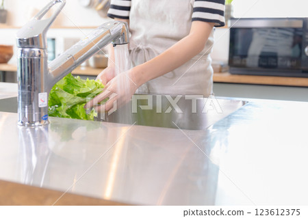 洗滌菜的一位小姐在廚房裡 洗滌菜的一位小姐在廚房裡 123612375
