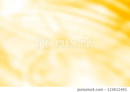 Light and shadow background material 123612491