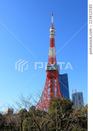 升起在藍天的東京鐵塔 123612585