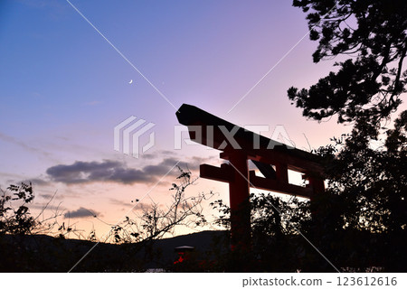 Torii gates of Hakone Shrine at dusk Torii gates of Hakone Shrine at dusk 123612616
