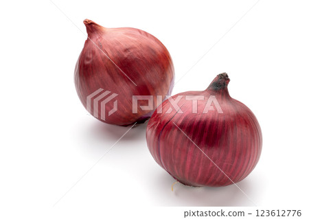紅蔥頭 紅蔥頭 123612776
