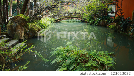 Chengdu, Sichuan, China. Pond At Park Of Wuhou Memorial Temple. People Walk On Background. Calmness And Tranquility. Calm Pond. Ferns Leaves Green Foliage. Green Fern Bushes 123613022