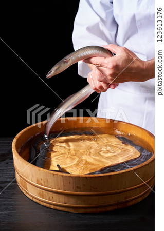 Chef Catching Eels Chef Catching Eels 123613176