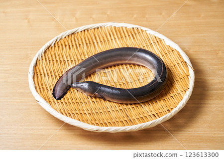 濾鍋裡的鰻魚 123613300